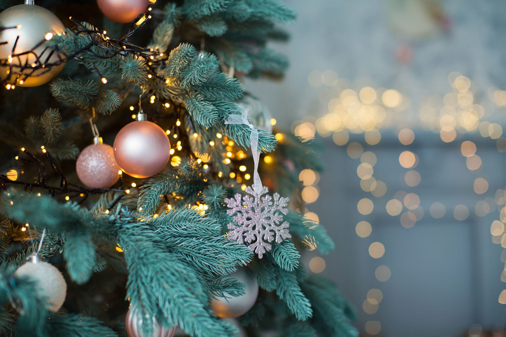 christmas tree