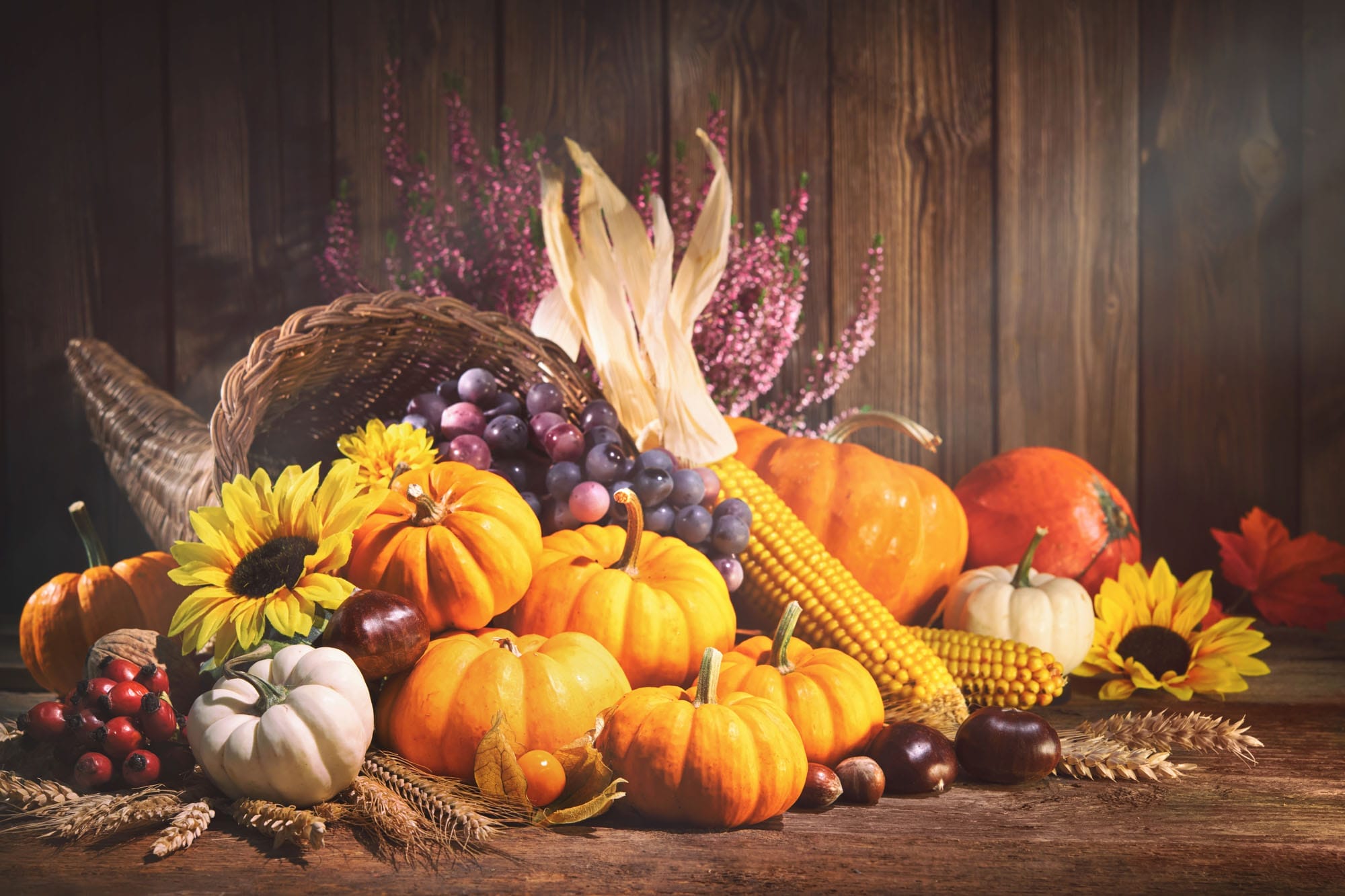 thanksgiving